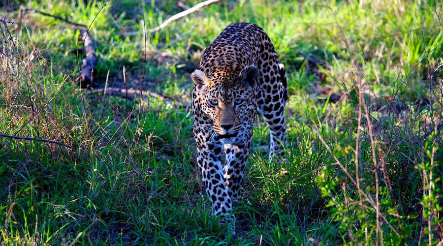 7 day tarangire and lake manyara safari